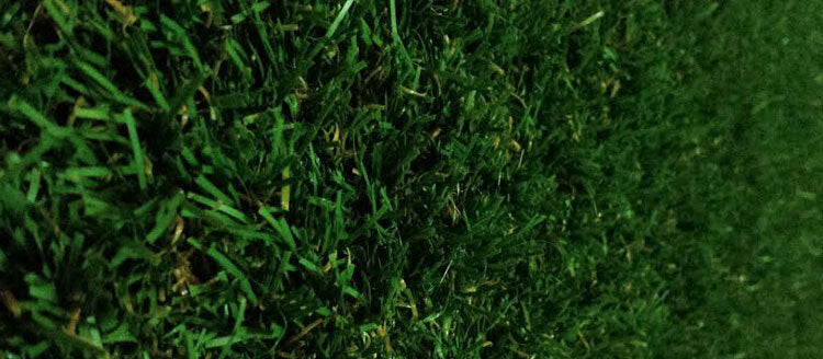 Grass surf mat|Don't damage your wetsuit|